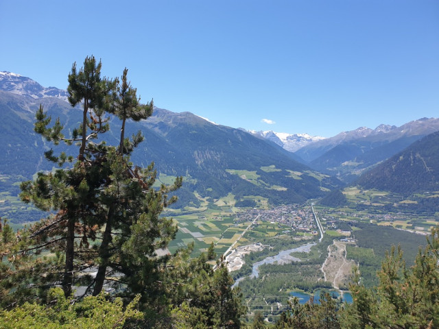 20220614_131404.jpg (247.16 KiB) 3608-mal betrachtet 20220614_131404.jpg