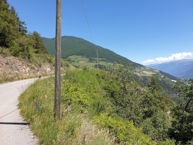 20220614_131925.jpg (292.08 KiB) 3608-mal betrachtet 20220614_131925.jpg