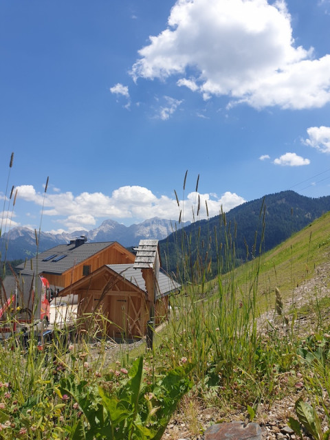 20220702_140312_resized.jpg (303.51 KiB) 3109-mal betrachtet 20220702_140312_resized.jpg