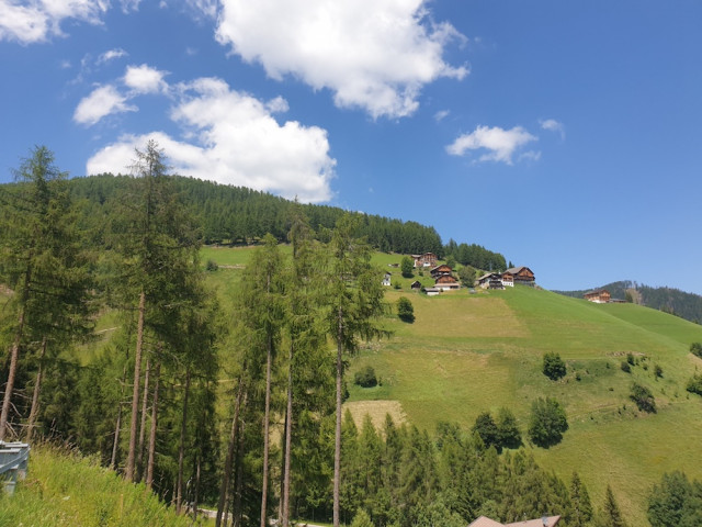 20220702_135910_resized.jpg (289.56 KiB) 3162-mal betrachtet 20220702_135910_resized.jpg