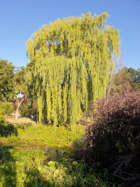 20220719_080611.jpg (365.31 KiB) 2993-mal betrachtet 20220719_080611.jpg