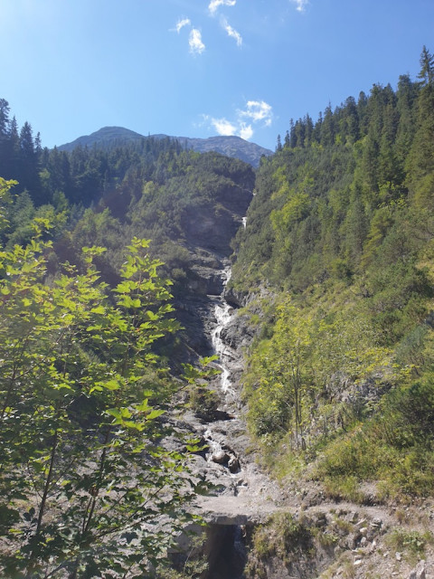 20220810_113914.jpg (318.59 KiB) 5292-mal betrachtet 20220810_113914.jpg