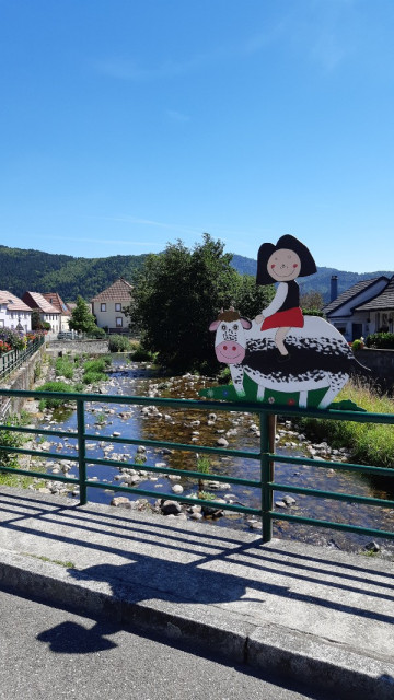 20220803_120249_copy_600x1067.jpg (225.46 KiB) 4285-mal betrachtet 20220803_120249_copy_600x1067.jpg