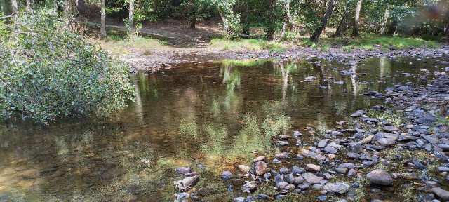 IMG_20220911_155039_HDR_1.jpg