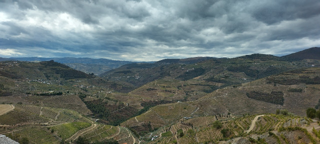 IMG_20220912_115646_HDR_1.jpg