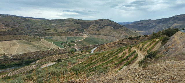 IMG_20220912_105801_HDR_1.jpg