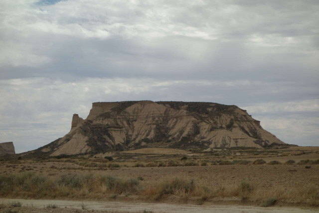 DSC05168s.jpg
