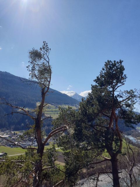 20230405_134426_resized.jpg (453.85 KiB) 3874-mal betrachtet 20230405_134426_resized.jpg