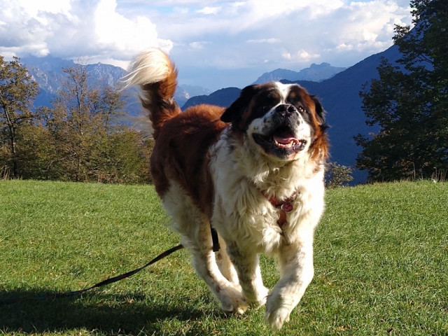 IMG_20200927_170138776 roki.jpg (234.66 KiB) 4841-mal betrachtet IMG_20200927_170138776 roki.jpg