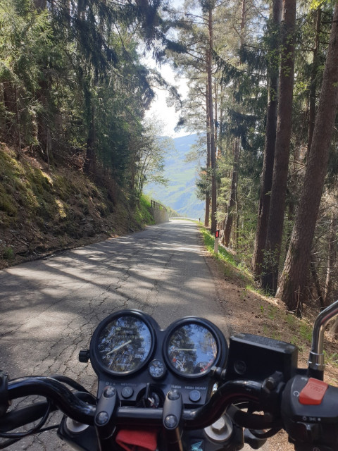 20230504_151407_resized.jpg (634.19 KiB) 2964-mal betrachtet 20230504_151407_resized.jpg