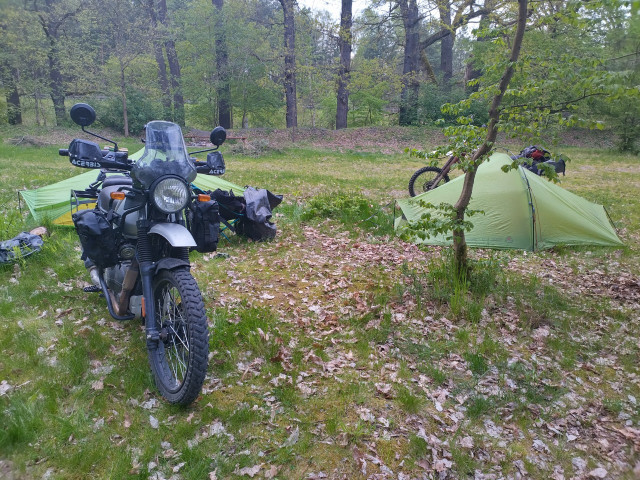 IMG_20230511_195024_HDR1.jpg