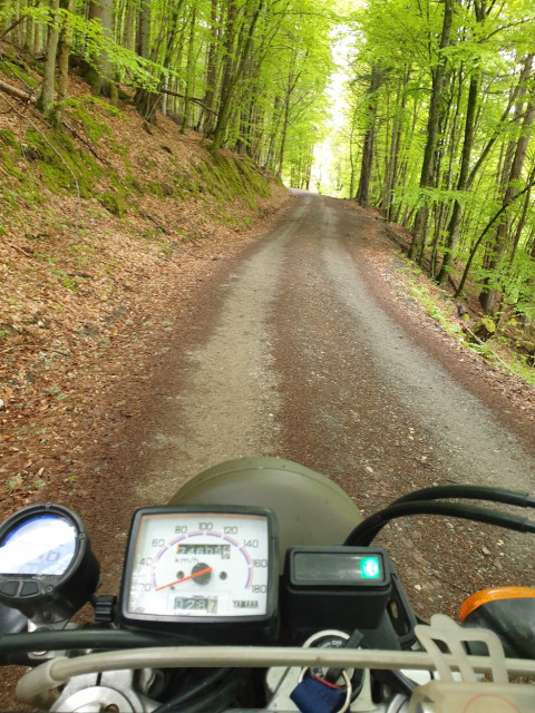 20230513_131926.jpg