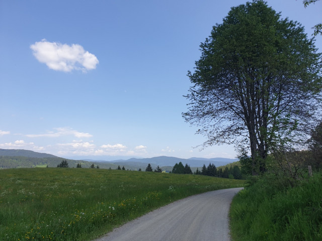 20230528_145700.jpg (321.55 KiB) 2088-mal betrachtet 20230528_145700.jpg