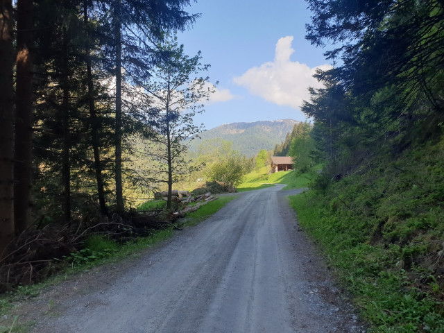 20230528_092311.jpg (448.83 KiB) 2089-mal betrachtet 20230528_092311.jpg