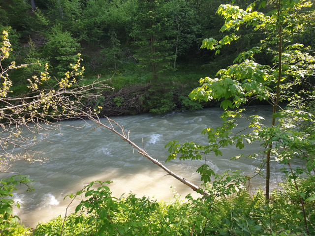 20230528_083943.jpg (649.67 KiB) 2089-mal betrachtet 20230528_083943.jpg