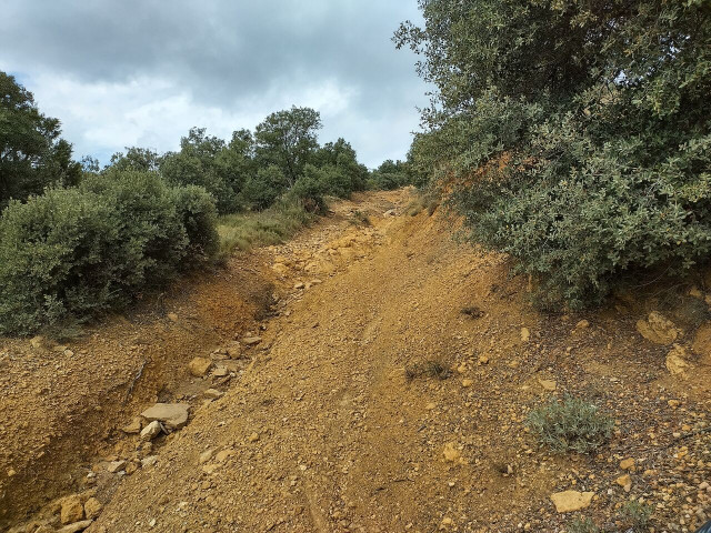 2022-09-24-13_41_58_IMGsmall.jpg (479.64 KiB) 3074-mal betrachtet 2022-09-24-13_41_58_IMGsmall.jpg