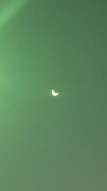 20150320_102854.jpg