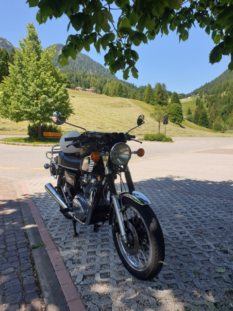 20230625_142156_resized 2.jpg