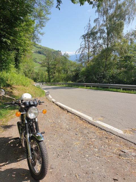 20230629_102420_resized.jpg (742.08 KiB) 2538-mal betrachtet 20230629_102420_resized.jpg