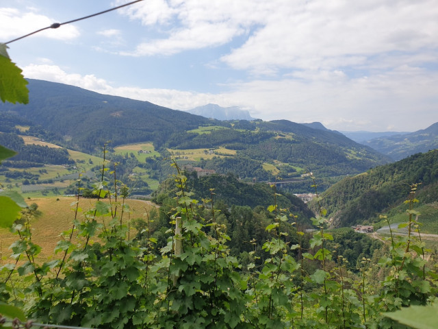 20230629_104245_resized.jpg (469.07 KiB) 2539-mal betrachtet 20230629_104245_resized.jpg