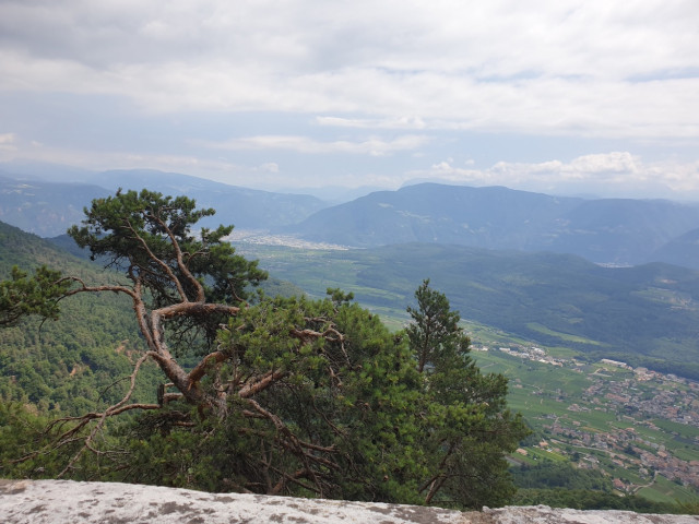 20230629_115609_resized.jpg (409.71 KiB) 2515-mal betrachtet 20230629_115609_resized.jpg