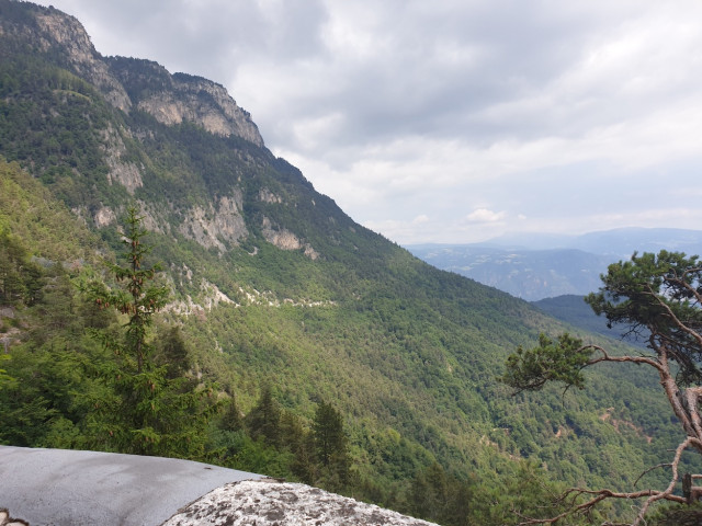 20230629_115624_resized.jpg (488.71 KiB) 2516-mal betrachtet 20230629_115624_resized.jpg