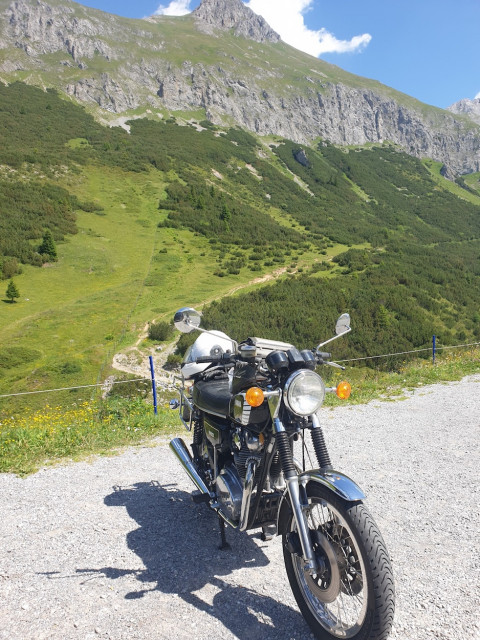 20230711_114016_resized.jpg (703.51 KiB) 4383-mal betrachtet 20230711_114016_resized.jpg