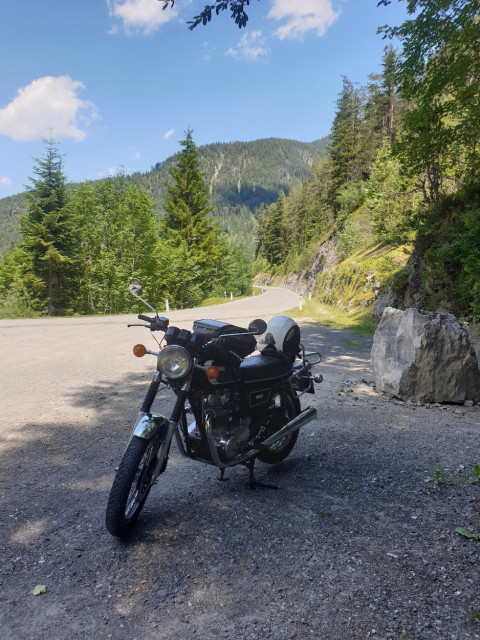 20230711_130208_resized.jpg (622.92 KiB) 4383-mal betrachtet 20230711_130208_resized.jpg