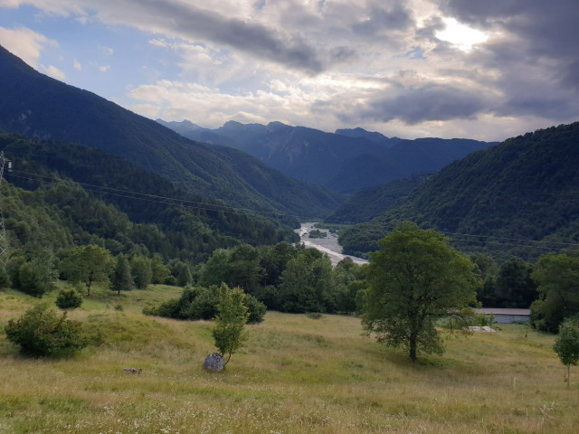 20230727_184043.jpg (313.68 KiB) 6125-mal betrachtet 20230727_184043.jpg