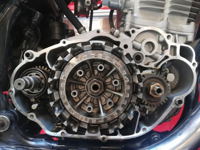 IMG_20230823_134958_copy_1152x864.jpg (261.7 KiB) 4219-mal betrachtet IMG_20230823_134958_copy_1152x864.jpg