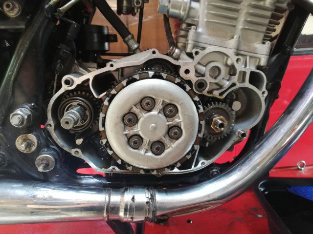 IMG_20230823_130248_copy_1152x864.jpg (234.79 KiB) 4219-mal betrachtet IMG_20230823_130248_copy_1152x864.jpg