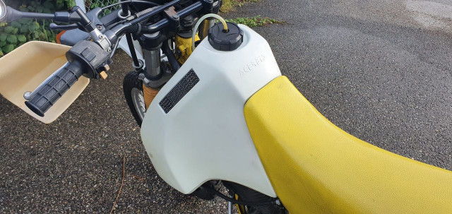 DR350_3.jpg