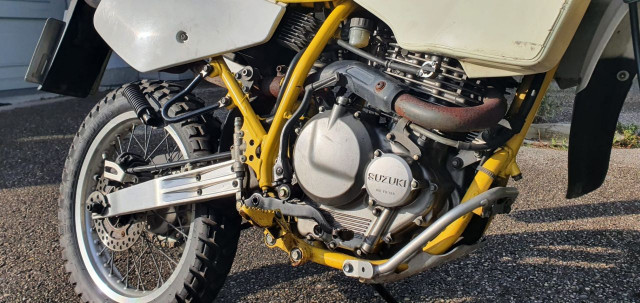 DR350_4.jpg
