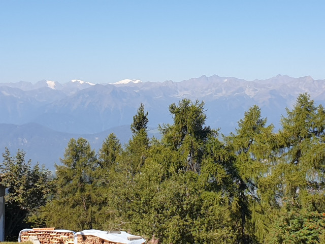 20230907_103506.jpg (337.24 KiB) 5199-mal betrachtet 20230907_103506.jpg