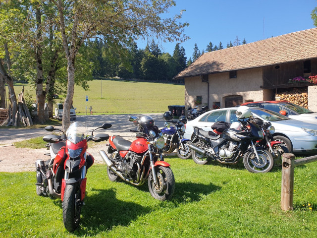 20230907_143628.jpg (631.21 KiB) 4970-mal betrachtet 20230907_143628.jpg