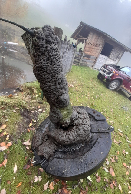 20231110_224455.jpg (523.81 KiB) 3014-mal betrachtet 20231110_224455.jpg