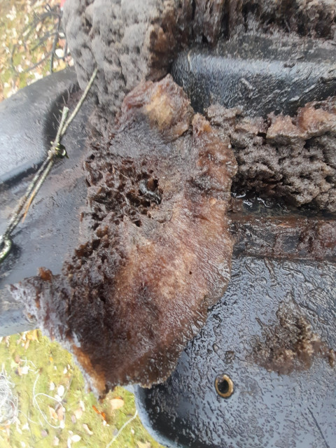 20231110_224559.jpg (560.24 KiB) 3233-mal betrachtet 20231110_224559.jpg