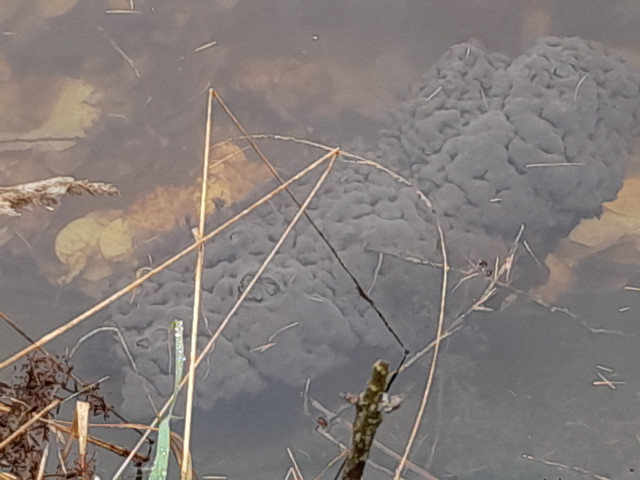 20231110_094300.jpg (311 KiB) 3155-mal betrachtet 20231110_094300.jpg