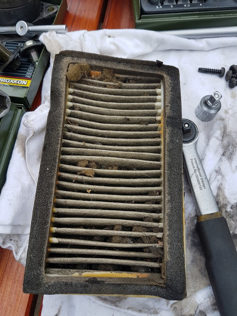 Luffi Putzen klein.jpg