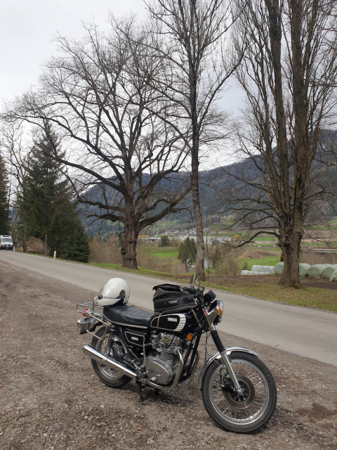 20240404_131022_resized.jpg (723.92 KiB) 5858-mal betrachtet 20240404_131022_resized.jpg