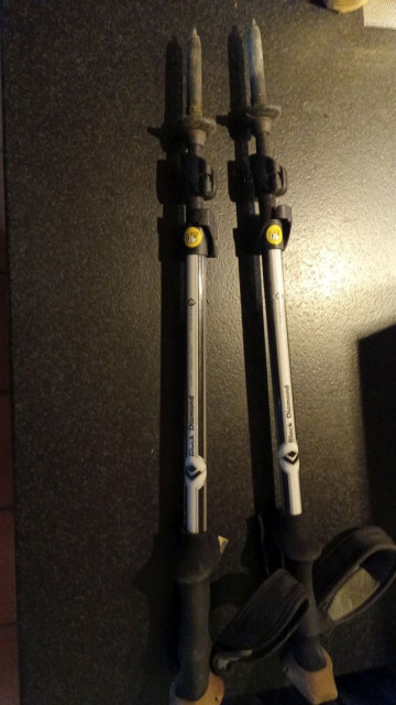 IMG-20240420-WA0003 stöcke1.jpg (139.58 KiB) 1953-mal betrachtet IMG-20240420-WA0003 stöcke1.jpg