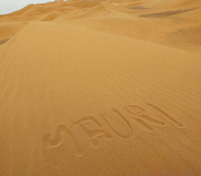 IMG_20240511_173209_HDR_1.jpg (233.12 KiB) 7784-mal betrachtet IMG_20240511_173209_HDR_1.jpg