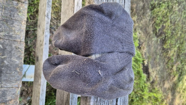 20240520_111318_1.jpg (167.34 KiB) 7182-mal betrachtet 20240520_111318_1.jpg