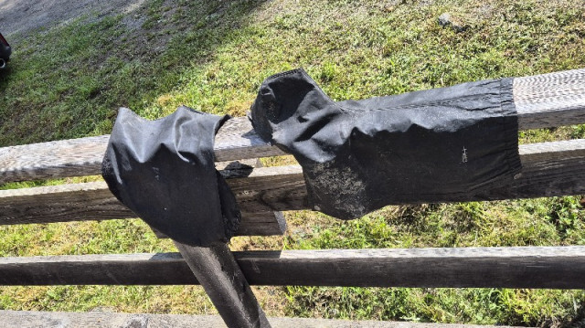 20240520_105727_1.jpg (206.21 KiB) 7182-mal betrachtet 20240520_105727_1.jpg