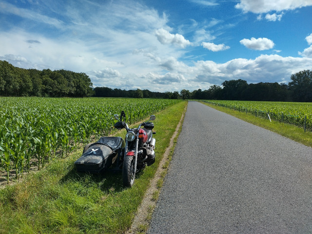IMG_20240615_153848_HDR_1.jpg