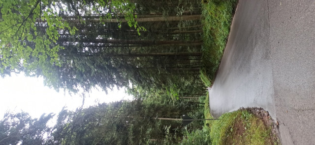 IMG_20240630_130309(1).jpg (355.72 KiB) 1793-mal betrachtet IMG_20240630_130309(1).jpg