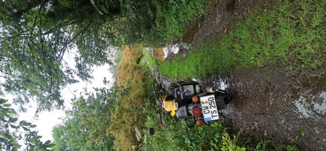 IMG_20240811_124436.jpg (438.25 KiB) 5595-mal betrachtet IMG_20240811_124436.jpg