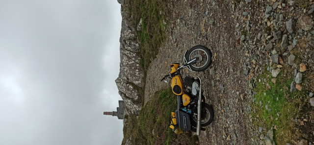 IMG_20240809_151149.jpg (279.86 KiB) 5667-mal betrachtet IMG_20240809_151149.jpg