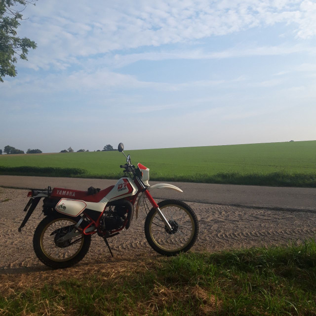DT 50 frühmorgens2.jpg
