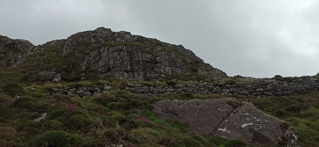 IMG_20240809_150804.jpeg